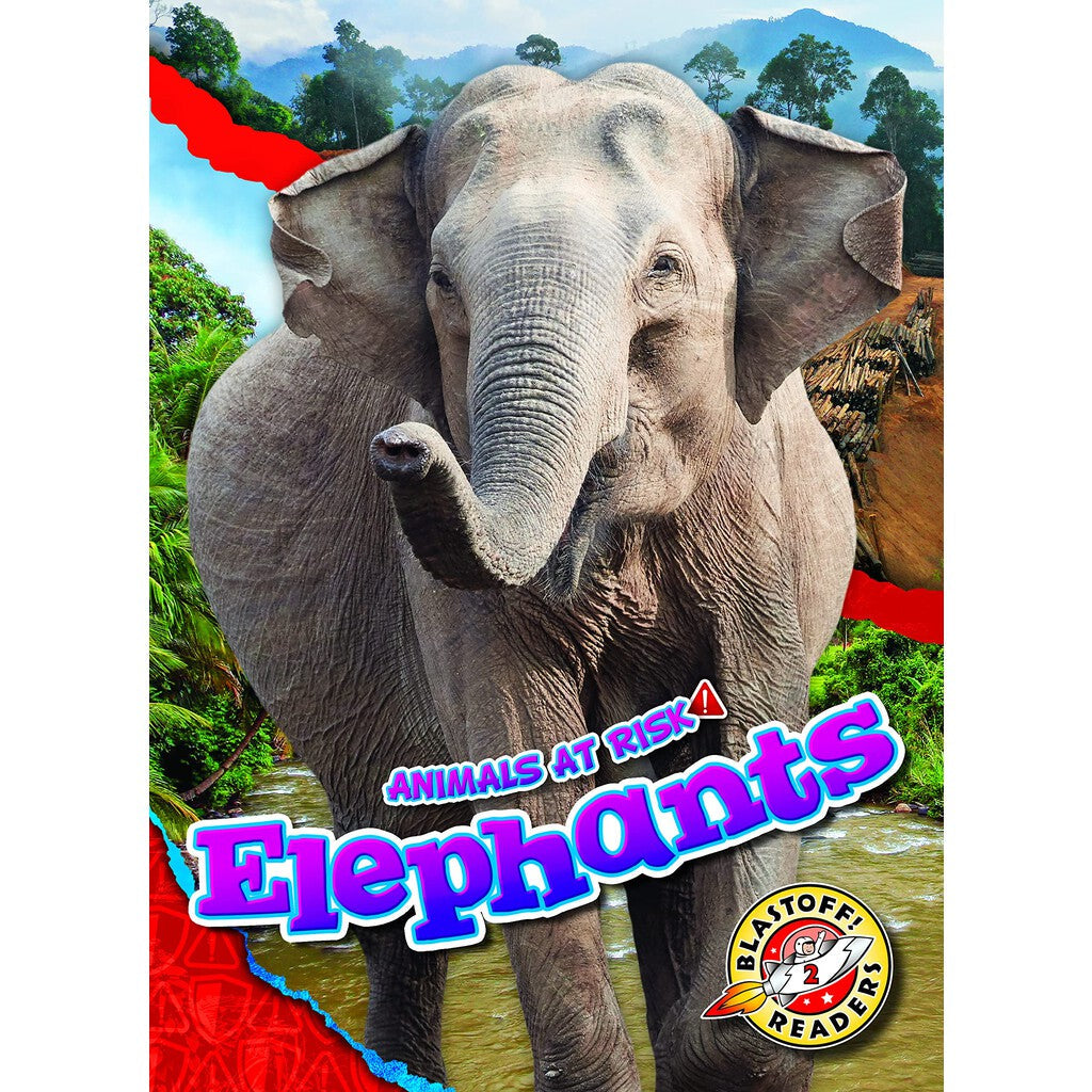 ELEPHANT 2冊 9781644669204_int_2048x.jpg?v=