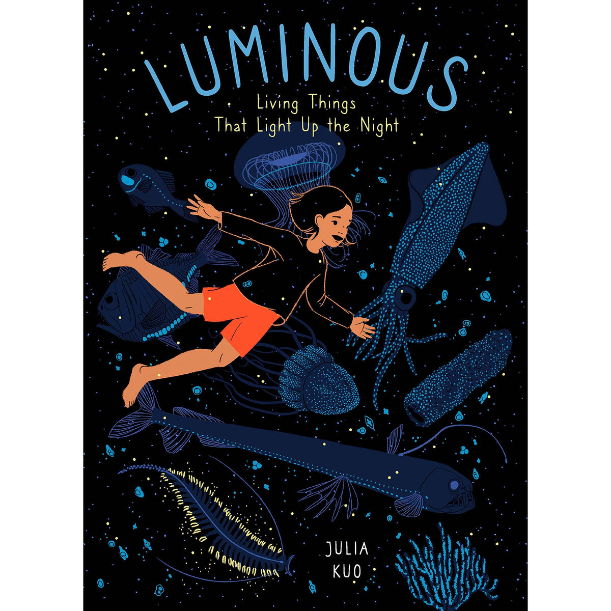 Luminous LightBook 2 view 2