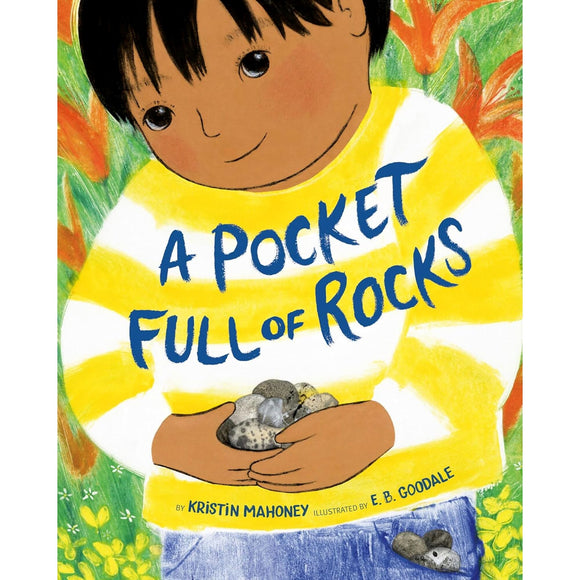 Book Title: A Pocket Full of Rocks – VOX Books