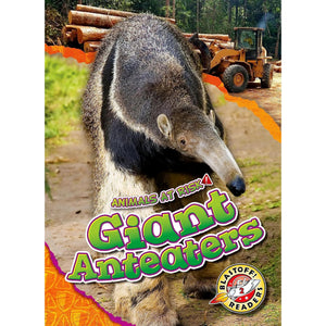 Animals at Risk: Giant Anteaters