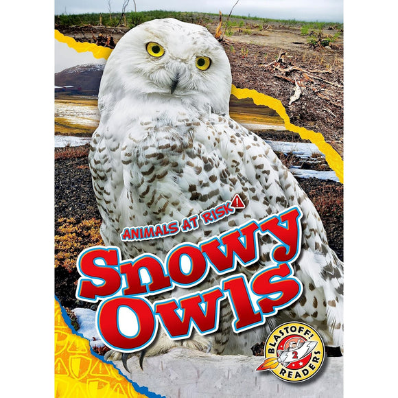 Book Title: Animals at Risk: Snowy Owls