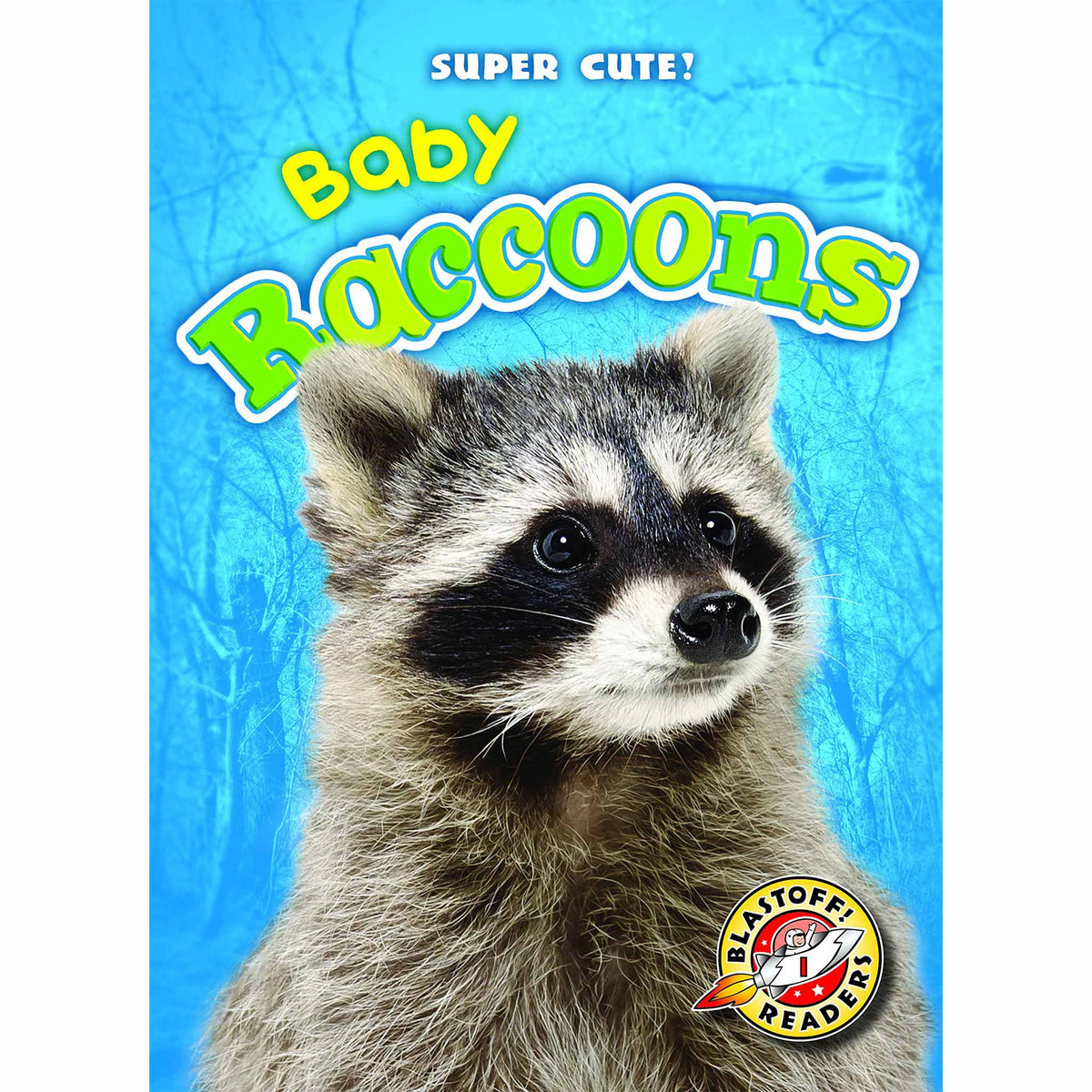 Book Title: Baby Raccoons - Blastoff! Readers: Super Cute! – VOX Books