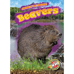 Beavers (Animals of the Wetlands)
