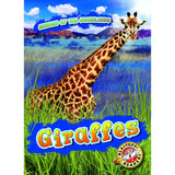 Giraffes (Animals of the Grasslands)