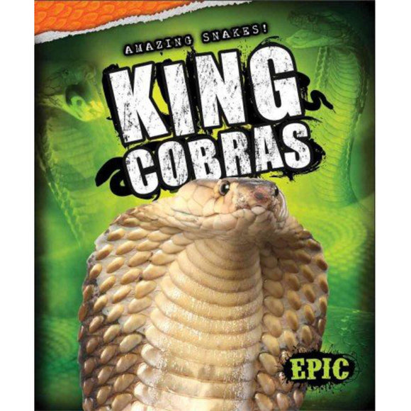 King Cobras (Amazing Snakes)