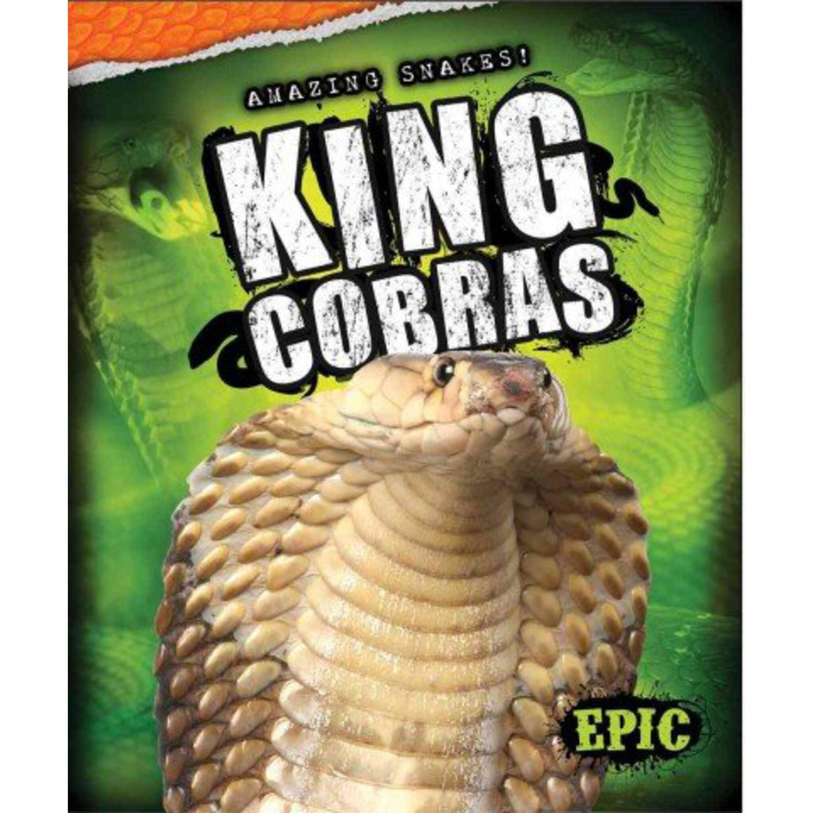 Amizing Snake Book Title: King Cobras (Amazing Snakes) – VOX Books