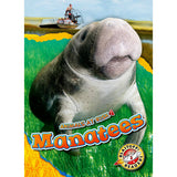 Manatees (Animals at Risk)