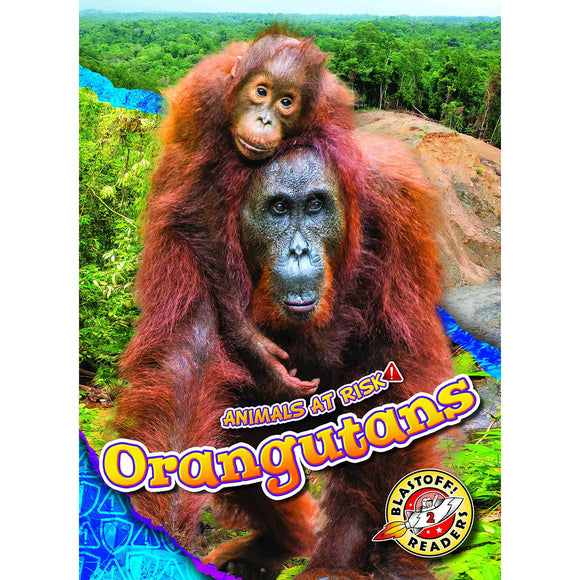 Orangutans (Animals at Risk)