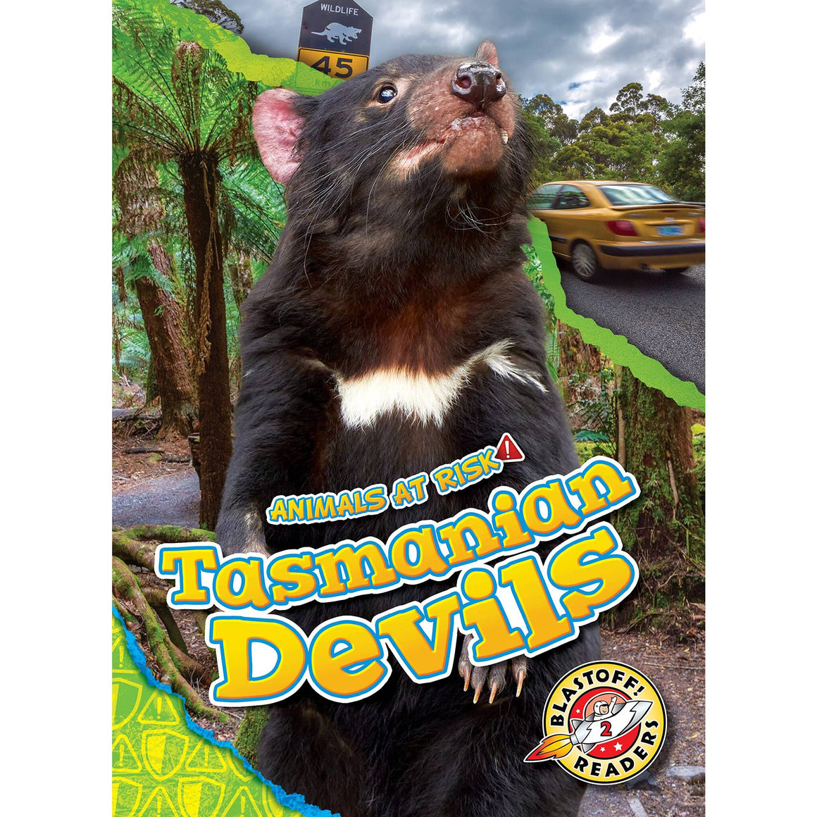 Devil And Risk Book Title: Tasmanian Devils (Animals at Risk) – VOX Books