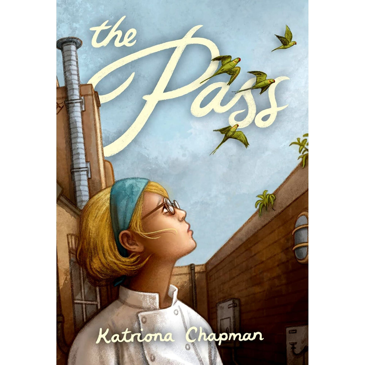 Book Title: The Pass – VOX Books