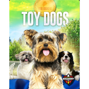 Toy Dogs (Dog Groups)