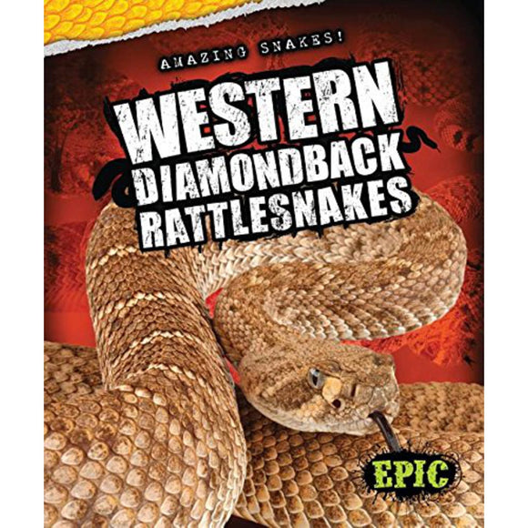 Western Diamondback Rattlesnakes (Amazing Snakes)