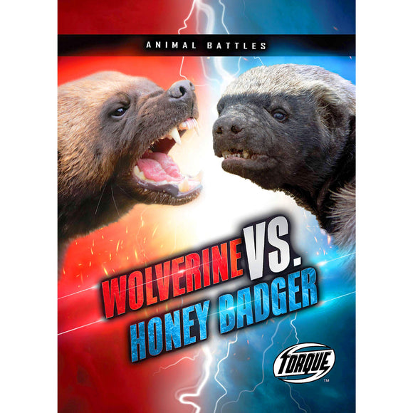 Wolverine vs. Honey Badger (Animal Battles)