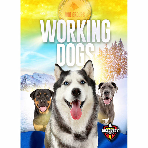Working Dogs (Dog Groups)